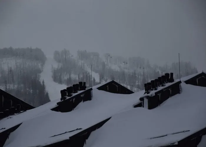 דירה Przy Olimpijskiej *